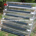 Trade Assurance BAIYI Poultry Shed Cage for Quails